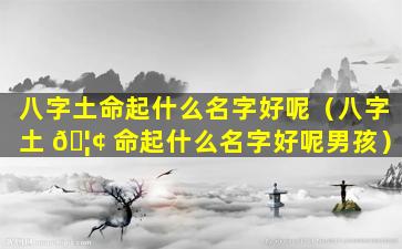 八字土命起什么名字好呢（八字土 🦢 命起什么名字好呢男孩）